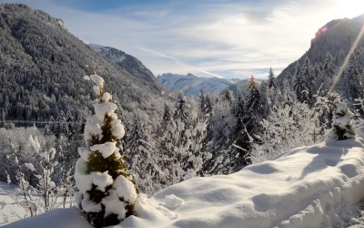 Smashing Snowfall Records …